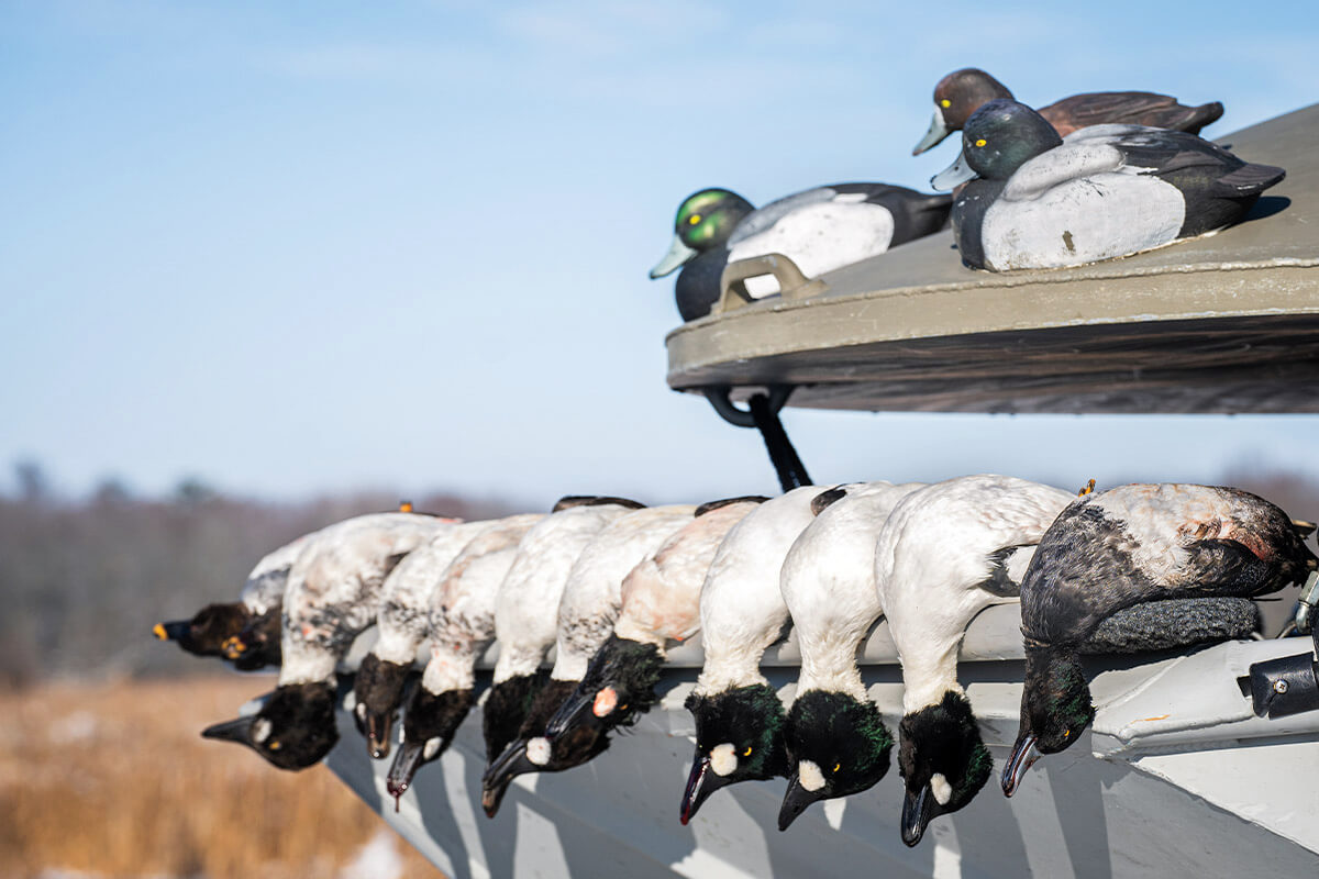 The Complete Guide to Diver Duck Hunting: Part 2 - Building - Wildfowl