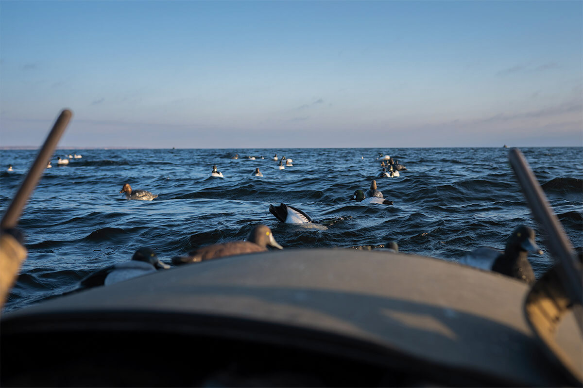 The Complete Guide to Diver Duck Hunting: Part 1 - Diver Species and Where to Find Them