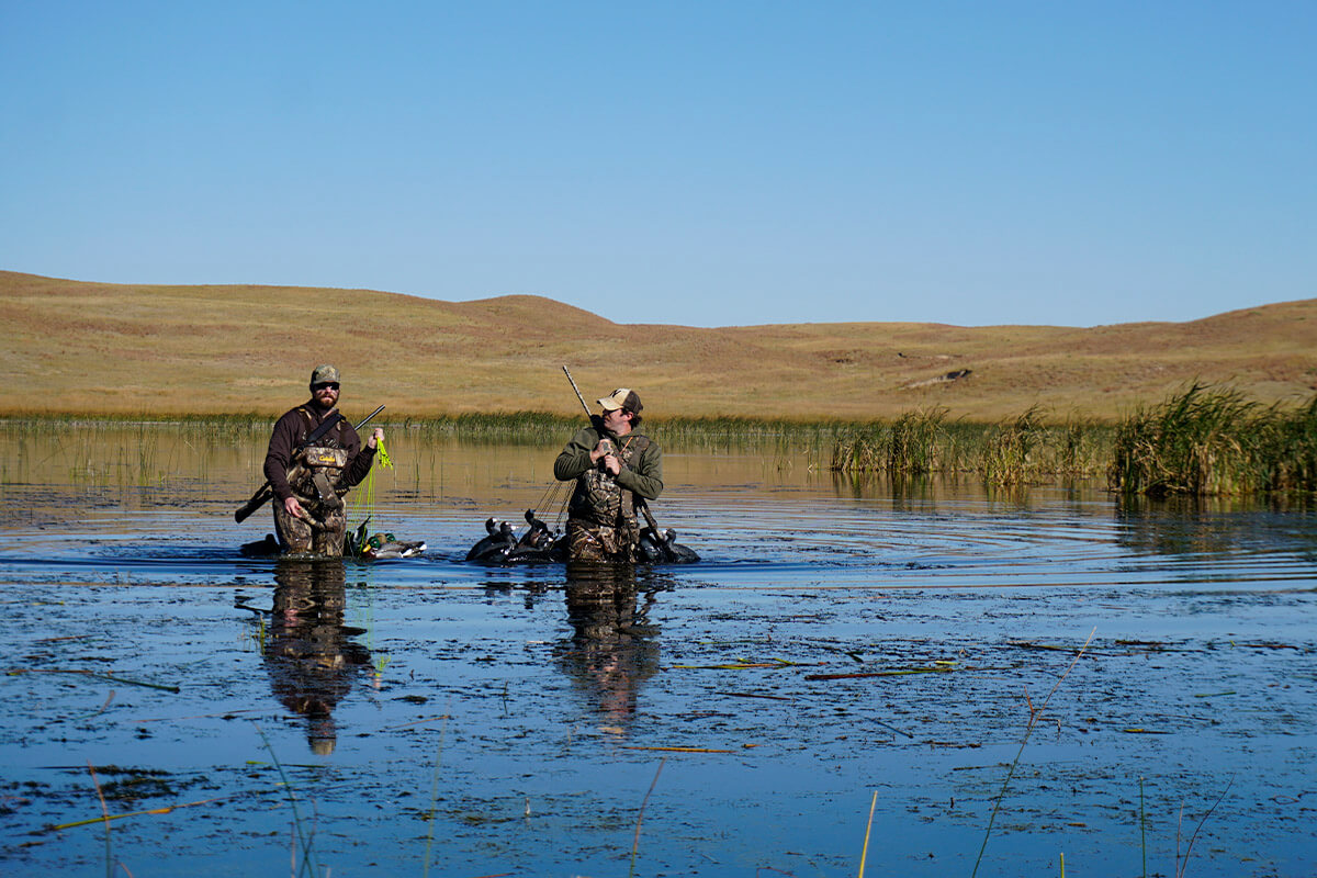 duck hunters in a marsh with coot decoys