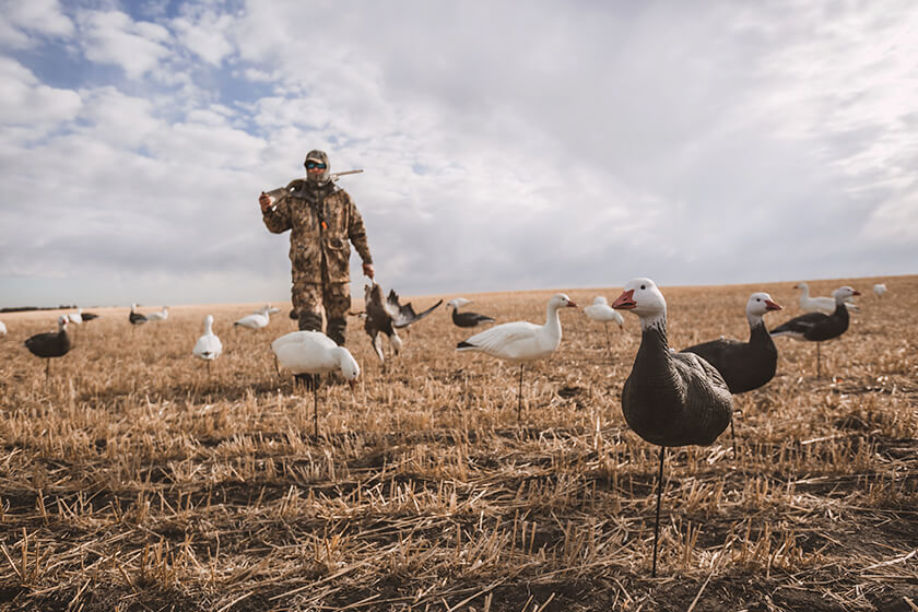Holding the Line: Waiting to Hunt in Canada