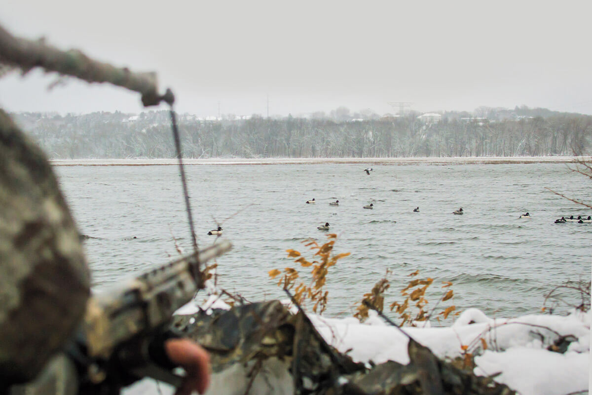 The Complete Guide to Diver Duck Hunting: Part 3 – Guns, Loads, and Safety