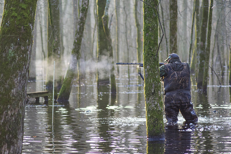 Duck-Hunting Culture of the Mississippi Delta