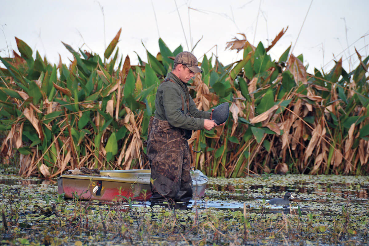 Early Season Teal Hunting Tips Wildfowl