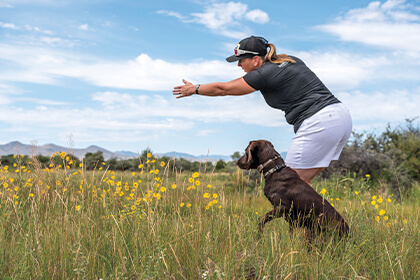 Waterfowl Hunting Retriever Dogs - Wildfowl