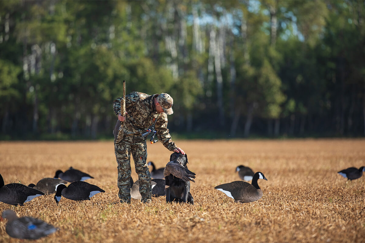 The Guide to Getting It Right with Your Duck Dog