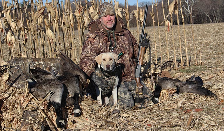goose hunter with yellow lab