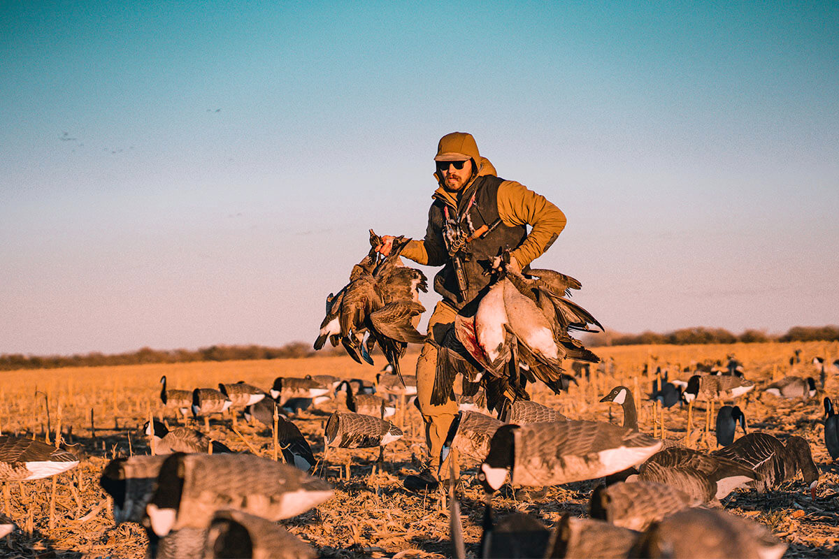 How to Ace Your Afternoon Goose Hunt