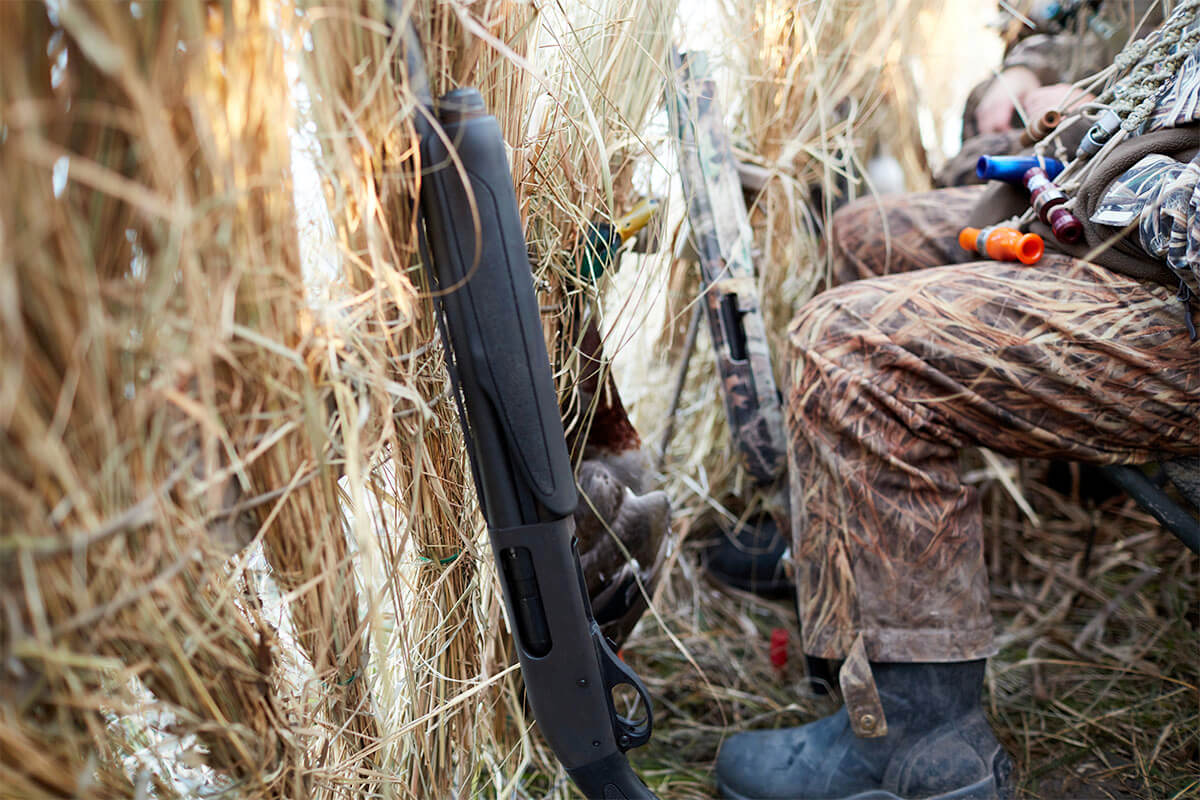 waterfowl hunters in a blind frame with shotguns