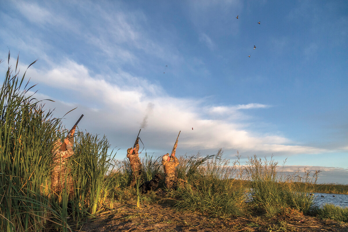 Complete Guide to Waterfowl Hunting in North Dakota