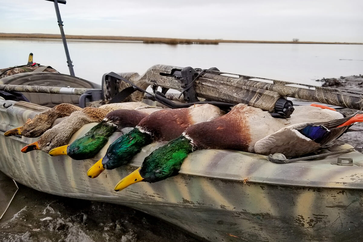 Duck hunting with a kayak