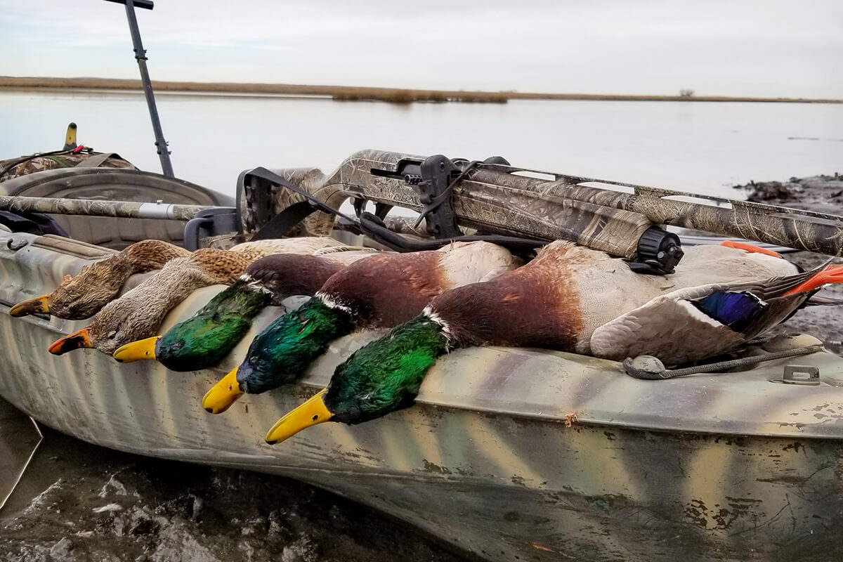 Kayak Duck Hunting - Wildfowl