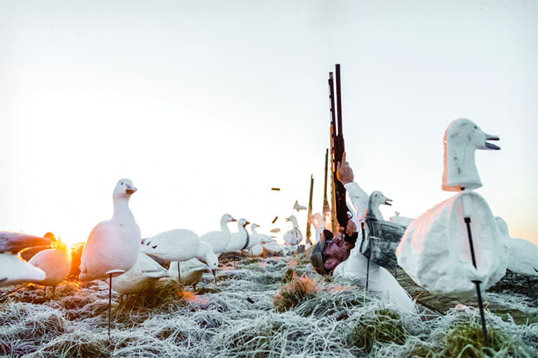 Snow Goose Gear Rundown: Conservation Season Means Lots of Ammo