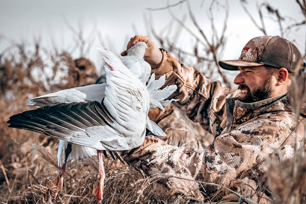 A Day in the Life of a Snow Goose Hunting Guide