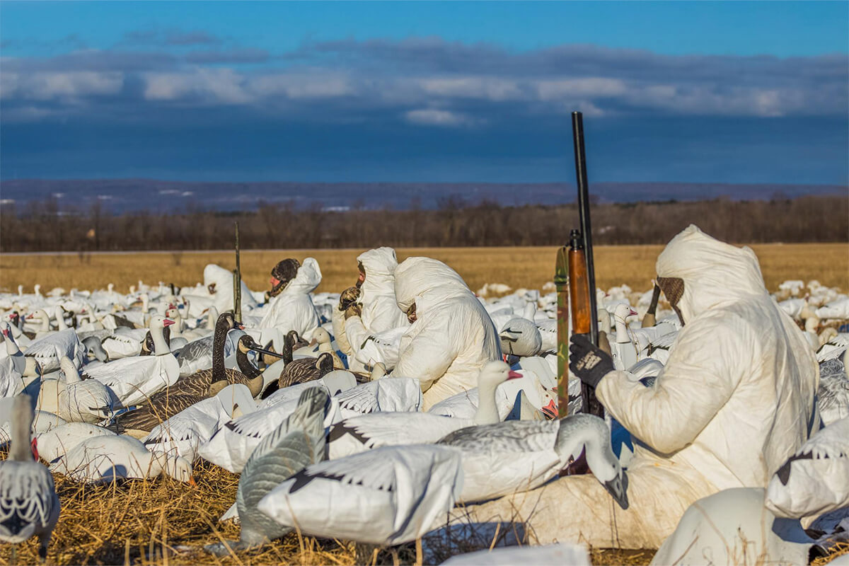 Tips & Tactics for DIY Spring Snow Goose Hunting