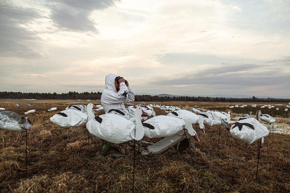 Mistakes Snow Goose Hunters Make and Why You Should Hire an Outfitter