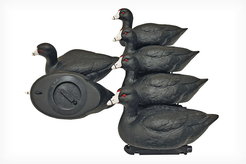 MOJO Outdoors Coot confidence 6-pack decoys