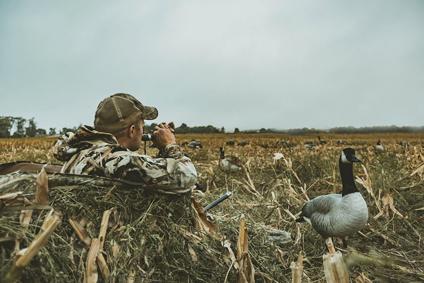 Top Waterfowl Hunting Blinds of 2021