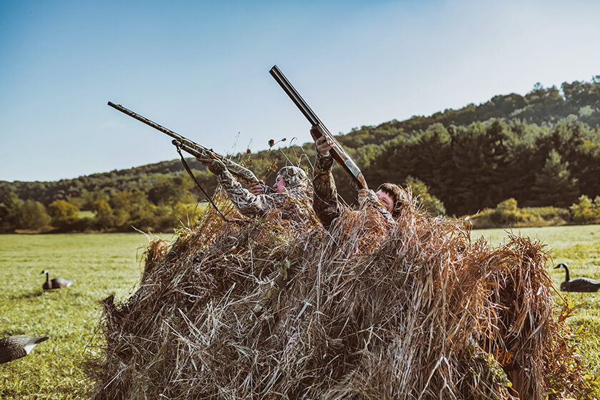 Goose hunters shooting from an a-frame blind