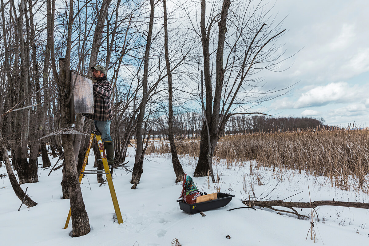 Wood Duck Nesting Boxes 