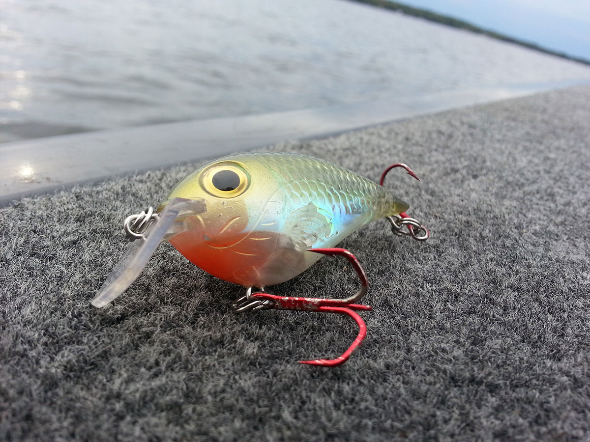 Rapala Crankin' Rap