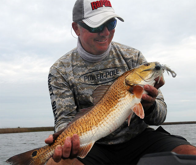 How to Catch Redfish in High-Tide Grass