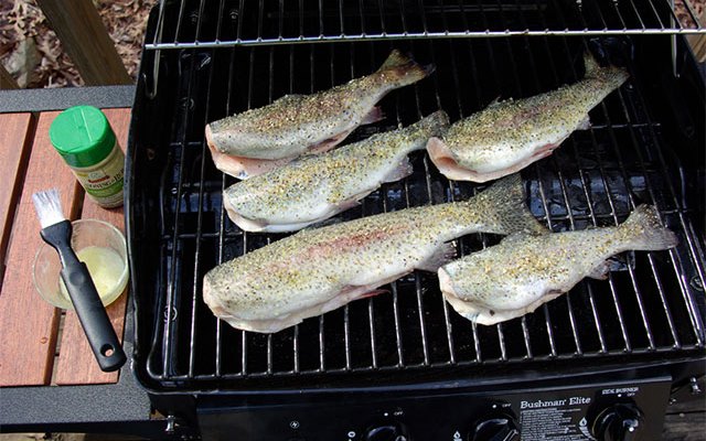 How to Grill Fish: 3 Recipes and Preparation Tips
