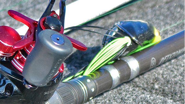 Kermit Gets the Early Bird Bass: Prespawn Frog Fishing Tips