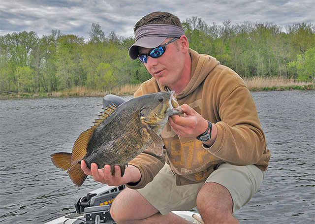  Post-spawn Smallmouth Bass Tips: Never Rule Out Fishing Your Strengths