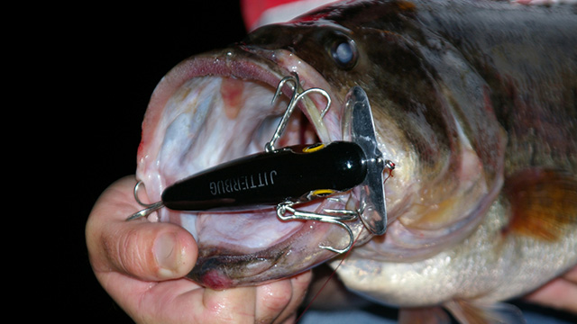 10 Fishing Secrets You Don't Know About