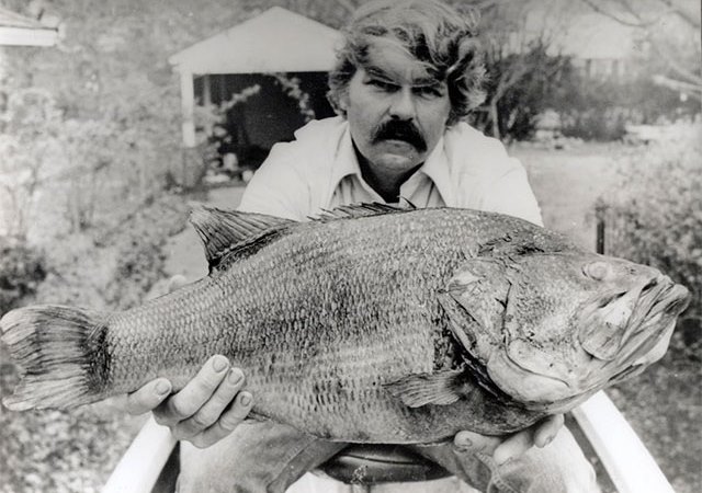 Biggest Arkansas Bass Ever Caught, Five Over 15