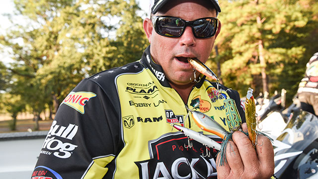 Pro Advice: Best Topwater Lures and Tips for Florida Bass