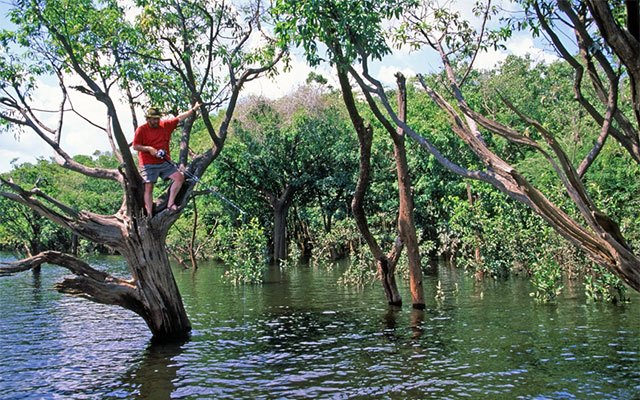 Adventure in Brazil's Great Flooded Jungle
