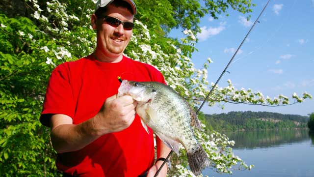 Why We Love Crappie Fishing