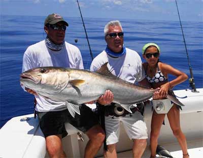 greater amberjack