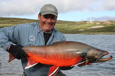 Arctic char