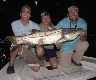 Atlantic snook