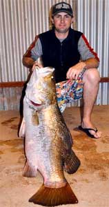 barramundi