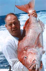 pink dentex