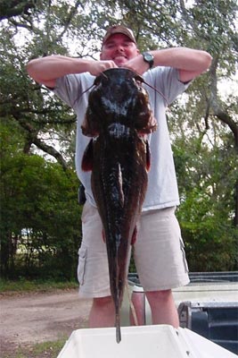 catfish records