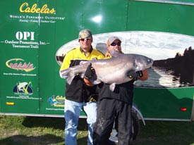 catfish