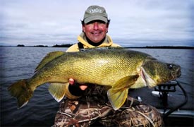 A walleye caught with a bottom bouncer and spinner.