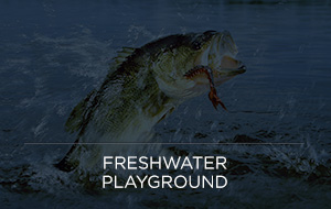 Freshwater Playground